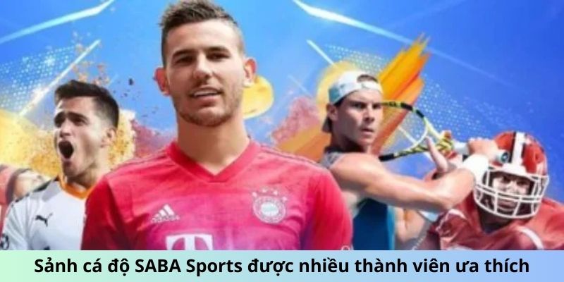 Sảnh cá độ SABA Sports được nhiều thành viên ưa thích