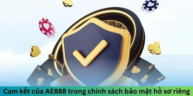 Cam kết của AE888 trong chính sách bảo mật hồ sơ riêng