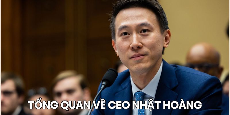 tổng quan về ceo Nhật Hoàng 